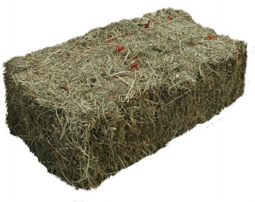 hay_bail.jpg